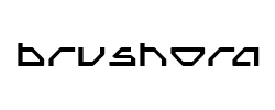 Brushora - logo